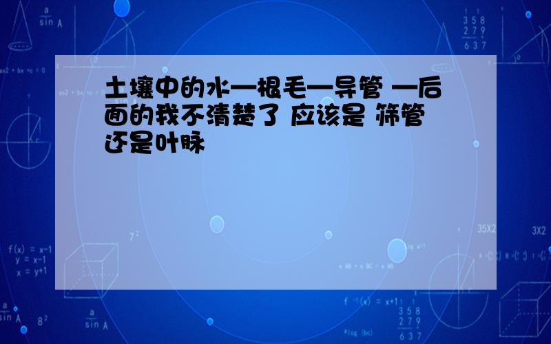 土壤中的水—根毛—导管 —后面的我不清楚了 应该是 筛管还是叶脉