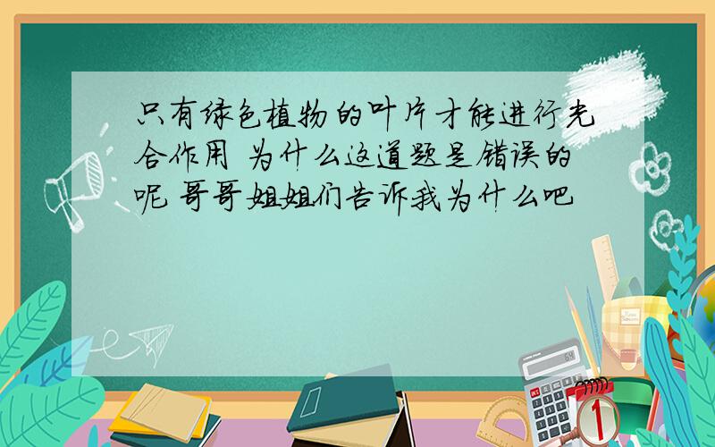 只有绿色植物的叶片才能进行光合作用 为什么这道题是错误的呢 哥哥姐姐们告诉我为什么吧