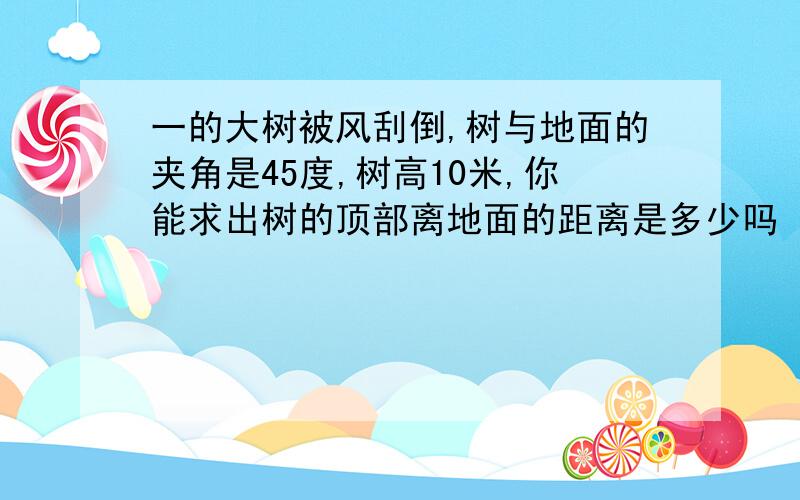 一的大树被风刮倒,树与地面的夹角是45度,树高10米,你能求出树的顶部离地面的距离是多少吗