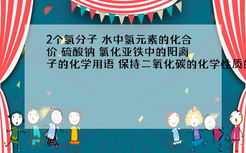 2个氢分子 水中氢元素的化合价 硫酸钠 氯化亚铁中的阳离子的化学用语 保持二氧化碳的化学性质的最小粒子是