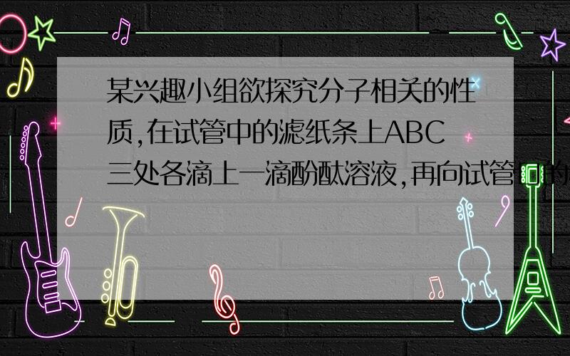 某兴趣小组欲探究分子相关的性质,在试管中的滤纸条上ABC三处各滴上一滴酚酞溶液,再向试管口的棉花团上