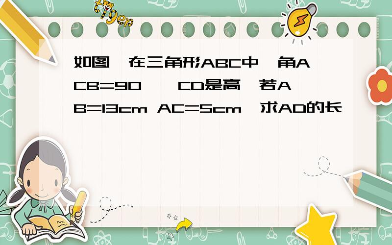 如图,在三角形ABC中,角ACB=90°,CD是高,若AB=13cm AC=5cm,求AD的长