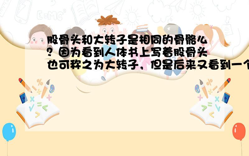 股骨头和大转子是相同的骨骼么？因为看到人体书上写着股骨头也可称之为大转子，但是后来又看到一个版本说股骨头和大转子不是同一