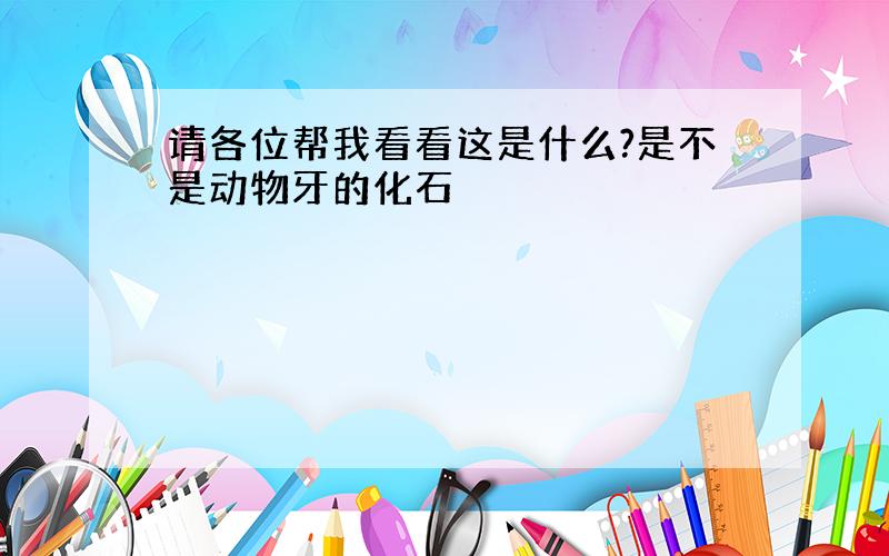 请各位帮我看看这是什么?是不是动物牙的化石