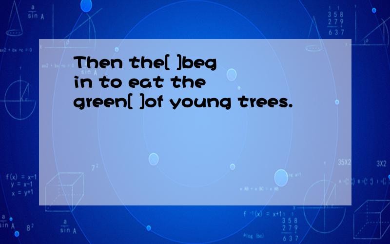 Then the[ ]begin to eat the green[ ]of young trees.