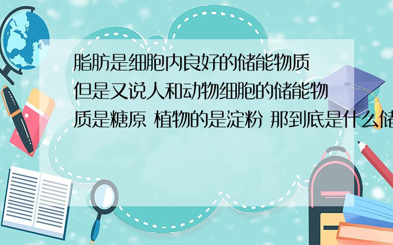 脂肪是细胞内良好的储能物质 但是又说人和动物细胞的储能物质是糖原 植物的是淀粉 那到底是什么储能