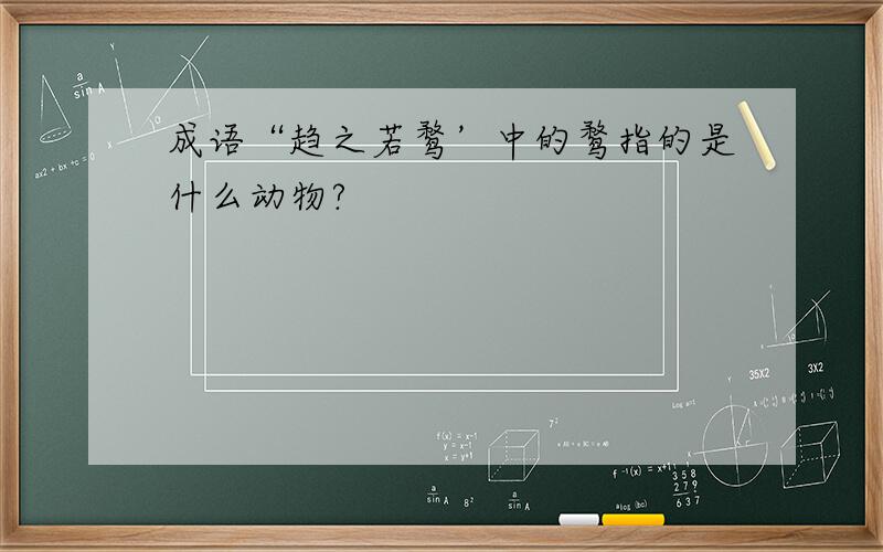 成语“趋之若鹜’中的鹜指的是什么动物?