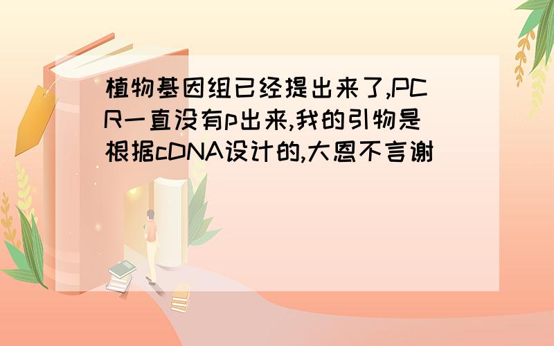 植物基因组已经提出来了,PCR一直没有p出来,我的引物是根据cDNA设计的,大恩不言谢