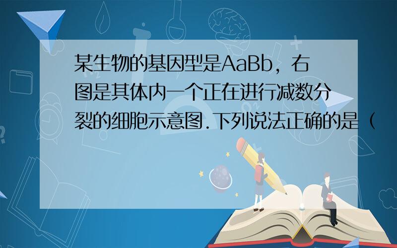 某生物的基因型是AaBb，右图是其体内一个正在进行减数分裂的细胞示意图.下列说法正确的是（　　）