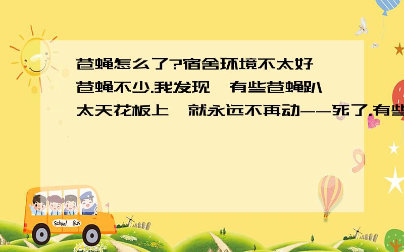 苍蝇怎么了?宿舍环境不太好,苍蝇不少.我发现,有些苍蝇趴太天花板上,就永远不再动--死了.有些背朝地面却也没有掉下来,腹