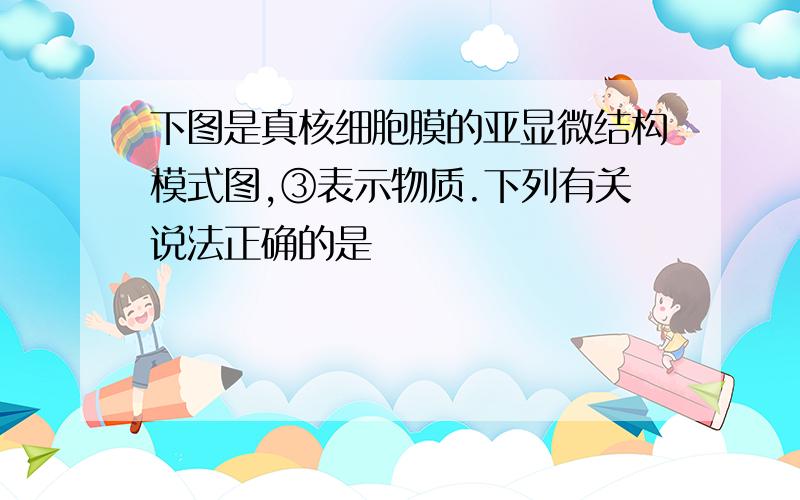 下图是真核细胞膜的亚显微结构模式图,③表示物质.下列有关说法正确的是