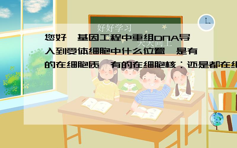 您好,基因工程中重组DNA导入到受体细胞中什么位置,是有的在细胞质,有的在细胞核：还是都在细胞核