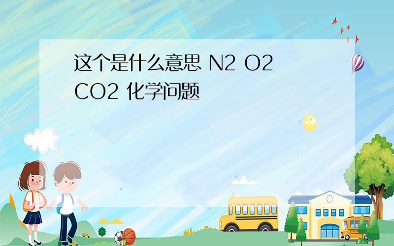 这个是什么意思 N2 O2 CO2 化学问题