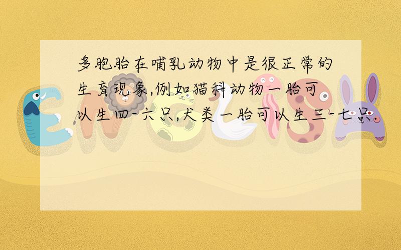 多胞胎在哺乳动物中是很正常的生育现象,例如猫科动物一胎可以生四-六只,犬类一胎可以生三-七只.