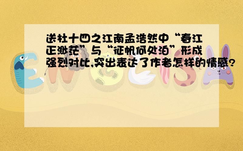 送杜十四之江南孟浩然中“春江正渺茫”与“征帆何处泊”形成强烈对比,突出表达了作者怎样的情感?