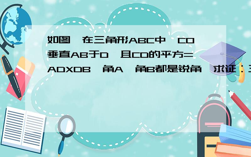 如图,在三角形ABC中,CO垂直AB于D,且CD的平方=ADXDB,角A,角B都是锐角,求证：三角形ABC是直角三角形.