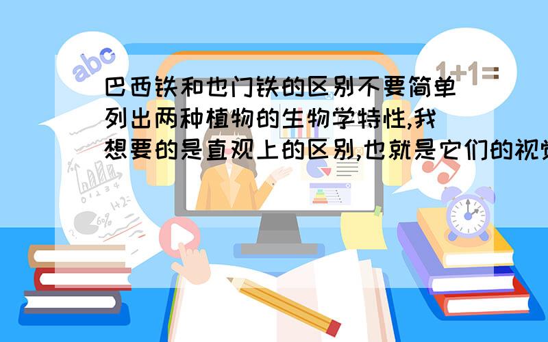 巴西铁和也门铁的区别不要简单列出两种植物的生物学特性,我想要的是直观上的区别,也就是它们的视觉区别.