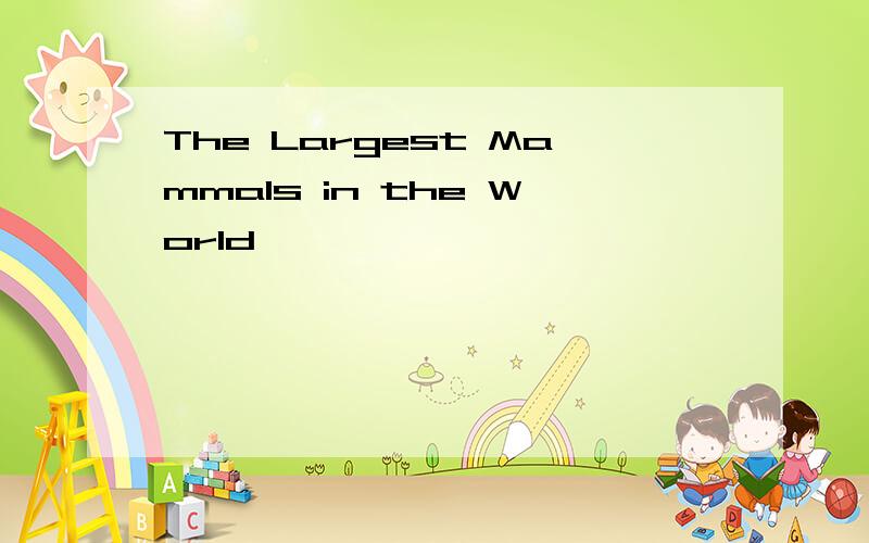 The Largest Mammals in the World