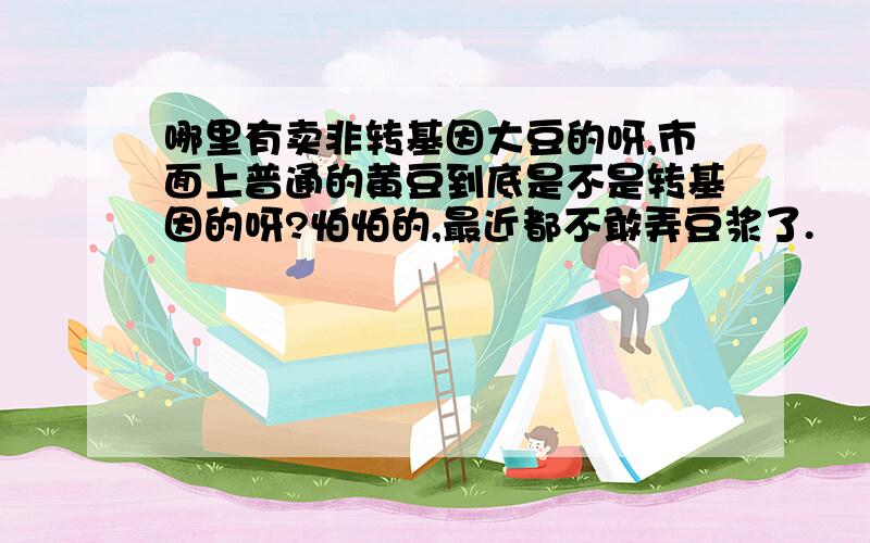 哪里有卖非转基因大豆的呀,市面上普通的黄豆到底是不是转基因的呀?怕怕的,最近都不敢弄豆浆了.