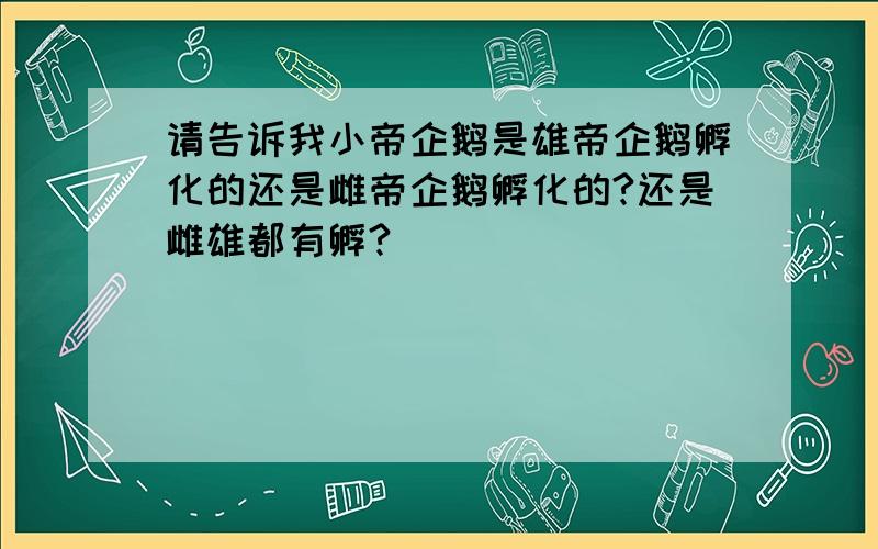 请告诉我小帝企鹅是雄帝企鹅孵化的还是雌帝企鹅孵化的?还是雌雄都有孵?