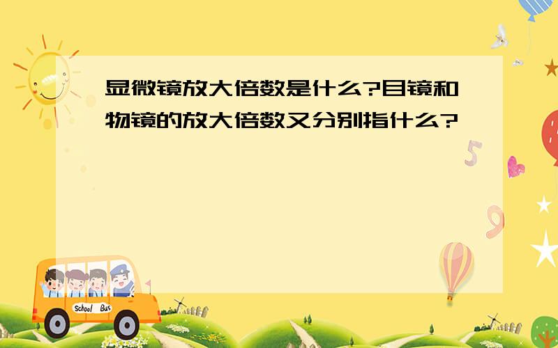 显微镜放大倍数是什么?目镜和物镜的放大倍数又分别指什么?