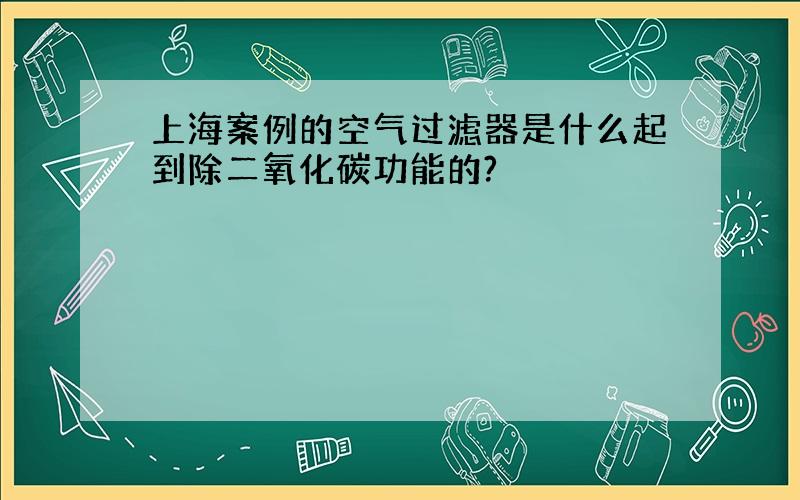 上海案例的空气过滤器是什么起到除二氧化碳功能的?