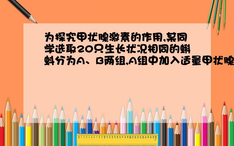 为探究甲状腺激素的作用,某同学选取20只生长状况相同的蝌蚪分为A、B两组,A组中加入适量甲状腺激素制剂,B组不加,其它饲