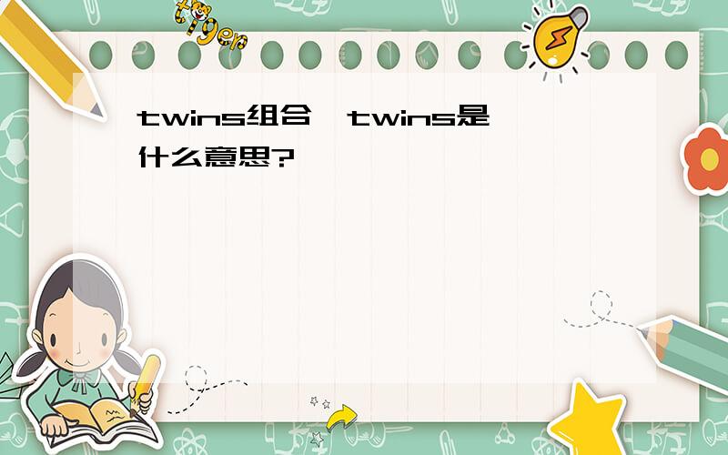 twins组合、twins是什么意思?