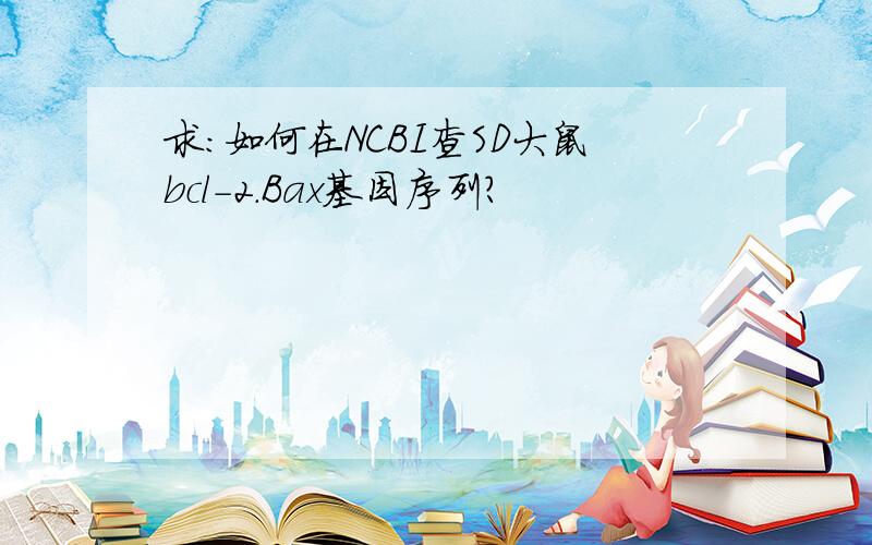 求：如何在NCBI查SD大鼠bcl-2.Bax基因序列?