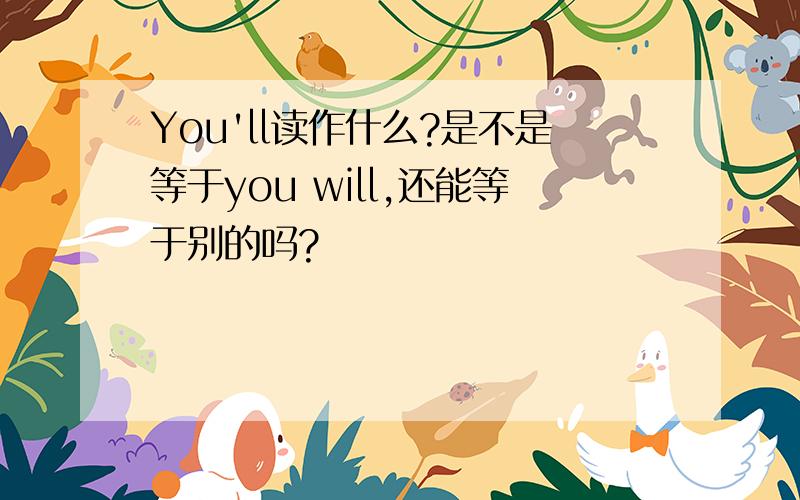 You'll读作什么?是不是等于you will,还能等于别的吗?