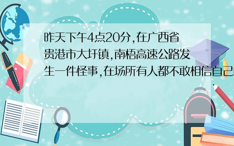 昨天下午4点20分,在广西省贵港市大圩镇,南梧高速公路发生一件怪事,在场所有人都不敢相信自己的眼睛!各