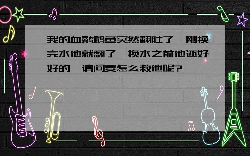 我的血鹦鹉鱼突然翻肚了,刚换完水他就翻了,换水之前他还好好的,请问要怎么救他呢?