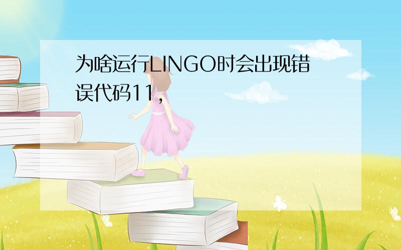 为啥运行LINGO时会出现错误代码11,