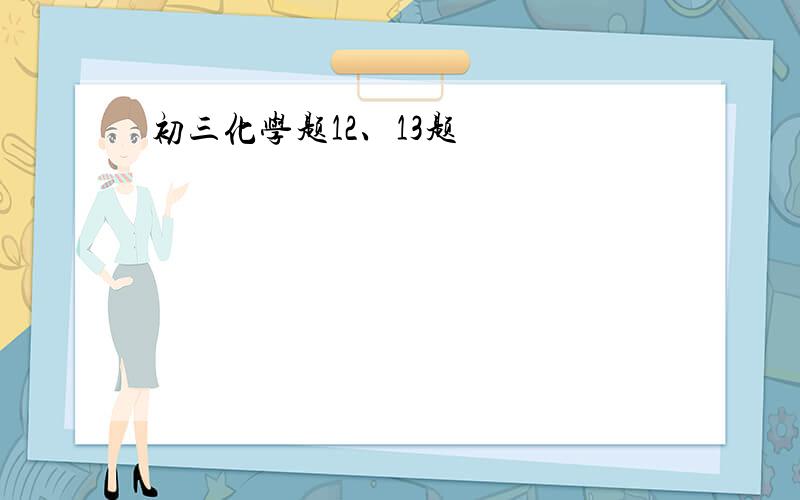 初三化学题12、13题