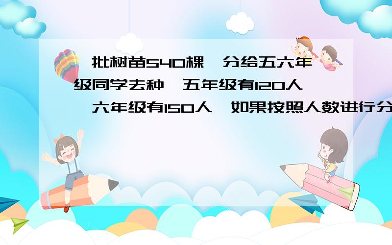 一批树苗540棵,分给五六年级同学去种,五年级有120人,六年级有150人,如果按照人数进行分配,五、六年级应分别种多少