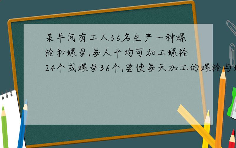 某车间有工人56名生产一种螺栓和螺母,每人平均可加工螺栓24个或螺母36个,要使每天加工的螺栓与螺母配套