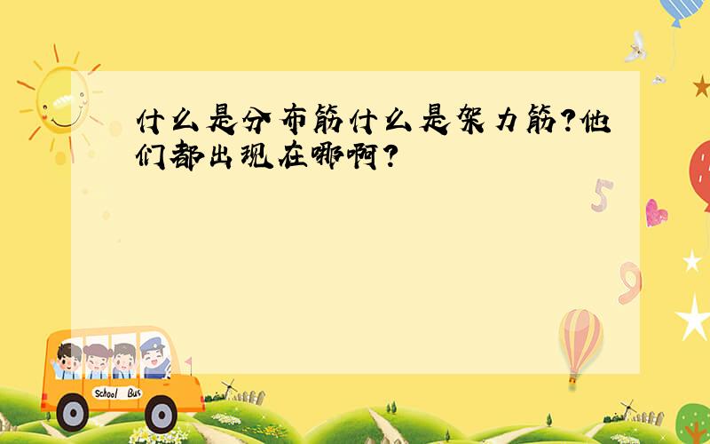 什么是分布筋什么是架力筋?他们都出现在哪啊?