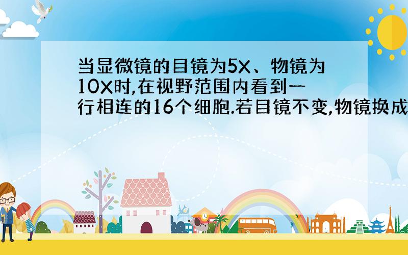 当显微镜的目镜为5X、物镜为10X时,在视野范围内看到一行相连的16个细胞.若目镜不变,物镜换成40X时,则在视野中可看