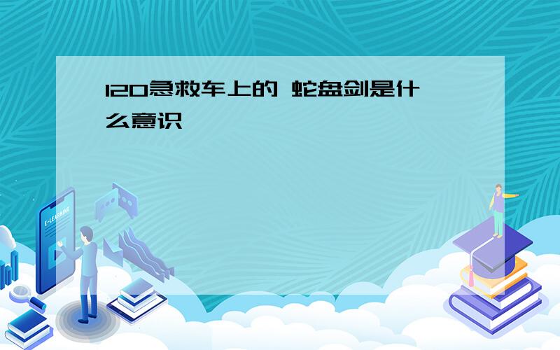 120急救车上的 蛇盘剑是什么意识