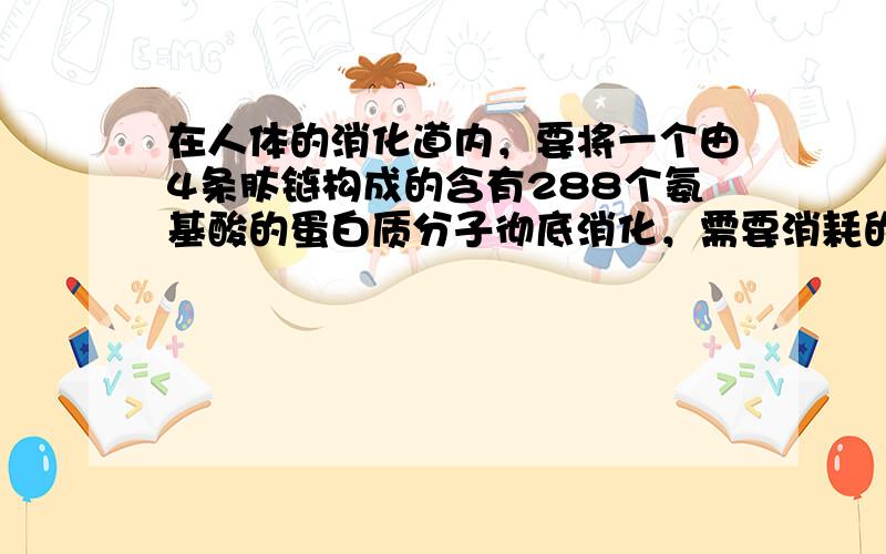 在人体的消化道内，要将一个由4条肽链构成的含有288个氨基酸的蛋白质分子彻底消化，需要消耗的水分子数是（　　）