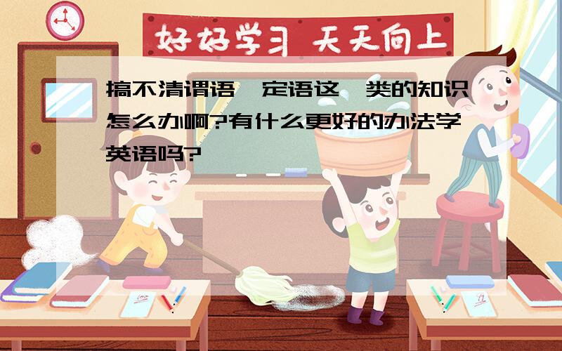 搞不清谓语,定语这一类的知识怎么办啊?有什么更好的办法学英语吗?