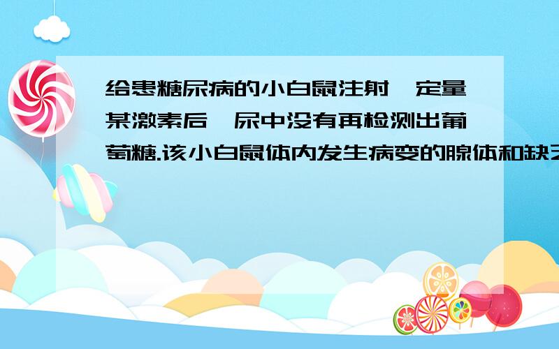 给患糖尿病的小白鼠注射一定量某激素后,尿中没有再检测出葡萄糖.该小白鼠体内发生病变的腺体和缺乏的激素是