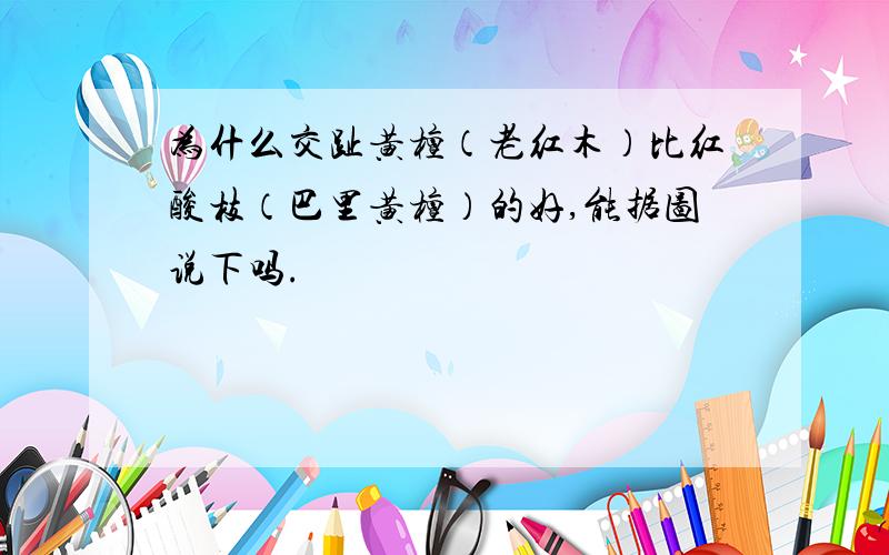 为什么交趾黄檀（老红木）比红酸枝（巴里黄檀）的好,能据图说下吗.