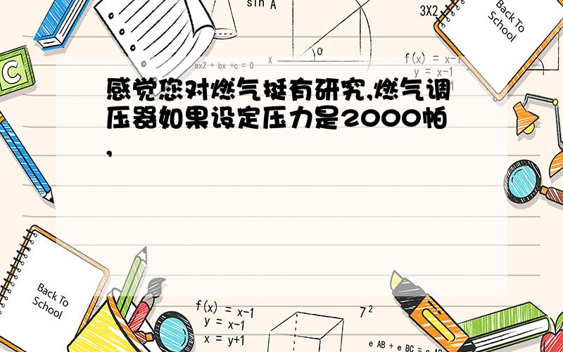 感觉您对燃气挺有研究,燃气调压器如果设定压力是2000帕,