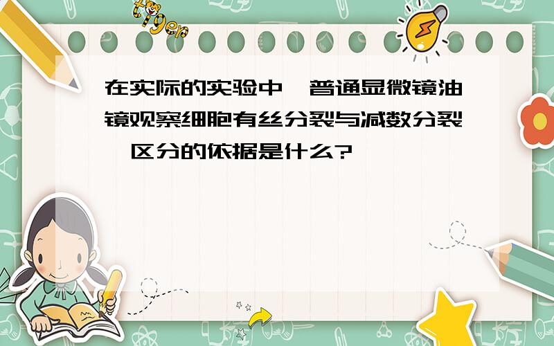 在实际的实验中,普通显微镜油镜观察细胞有丝分裂与减数分裂,区分的依据是什么?