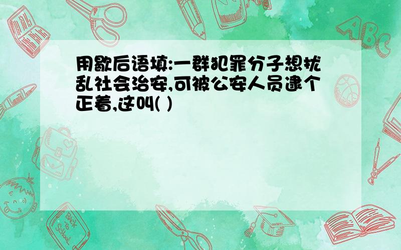 用歇后语填:一群犯罪分子想扰乱社会治安,可被公安人员逮个正着,这叫( )