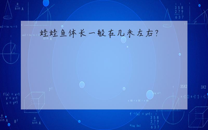 娃娃鱼体长一般在几米左右?