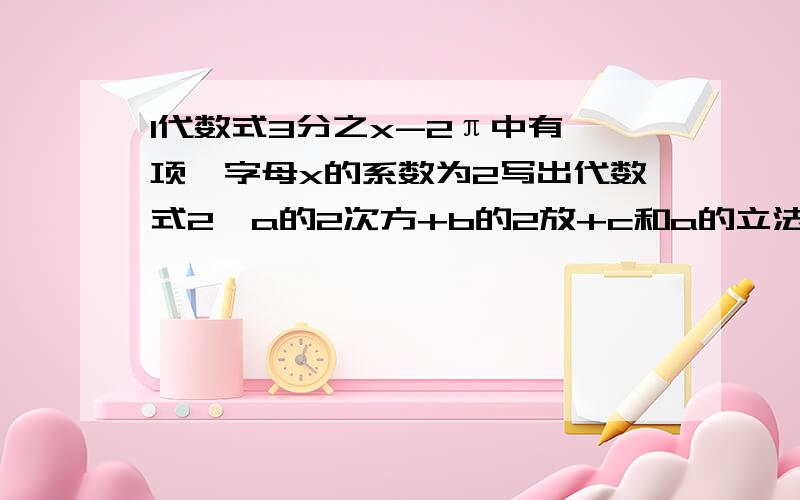 1代数式3分之x-2π中有 项,字母x的系数为2写出代数式2*a的2次方+b的2放+c和a的立法+x的次方的两个相同点