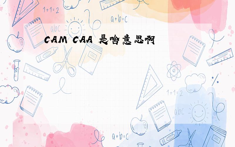 CAM CAA 是啥意思啊