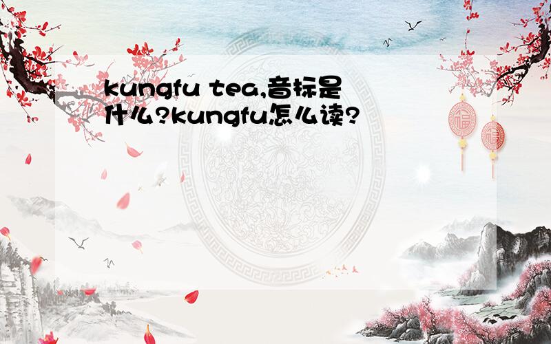 kungfu tea,音标是什么?kungfu怎么读?